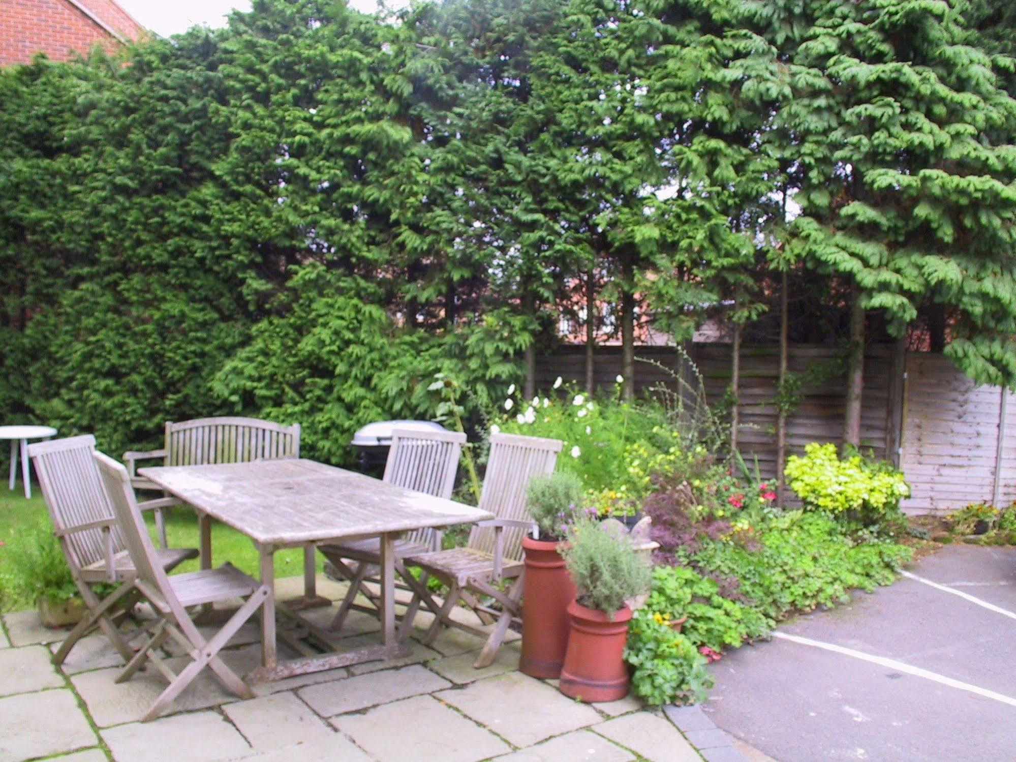 Springfield House - Birmingham Airport & Nec Bed and Breakfast Coleshill Buitenkant foto